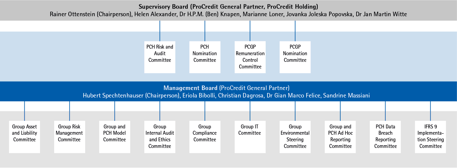 Governance Structure and Committees